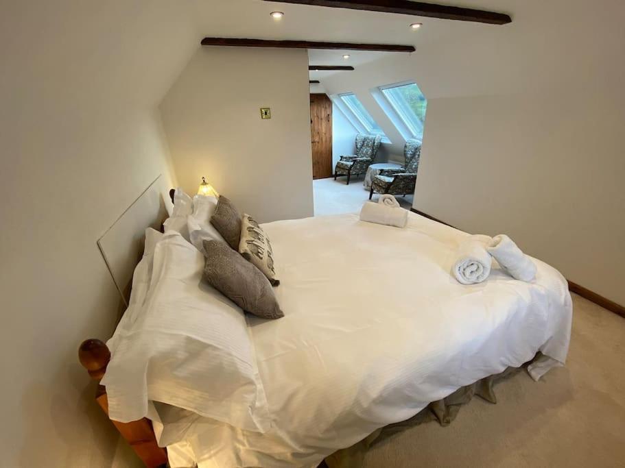 Eco-Friendly Dorset Cottage With Spa Set In Heart Of Countryside Sydling St Nicholas المظهر الخارجي الصورة